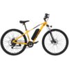 Bicicleta Eléctrica MTB 29" E Motorad T- Rex Air